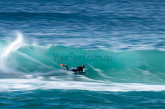Whale_Beach-200809-09.27-1078