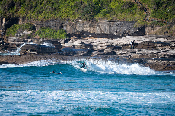 Whale_Beach-200809-08.30-909