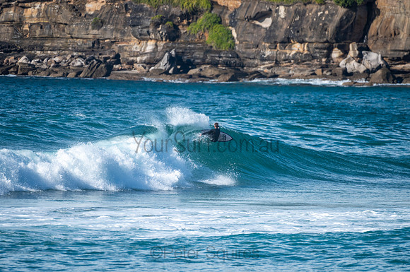 Whale_Beach-200809-08.31-227