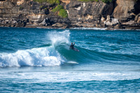 Whale_Beach-200809-08.31-492