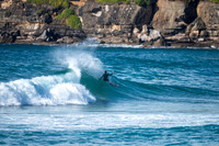 Whale_Beach-200809-08.31-356