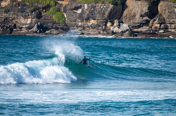 Whale_Beach-200809-08.31-356