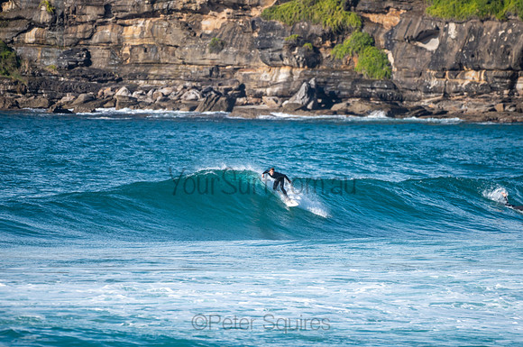 Whale_Beach-200809-08.35-997