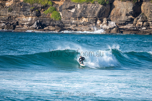Whale_Beach-200809-08.35-753