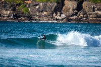 Whale_Beach-200809-08.35-918