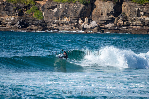 Whale_Beach-200809-08.35-918