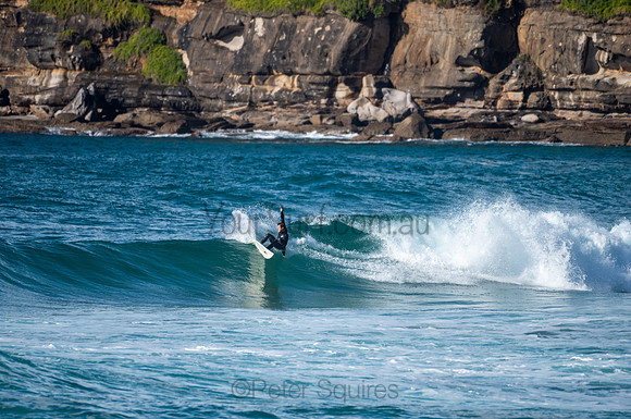 Whale_Beach-200809-08.35-764