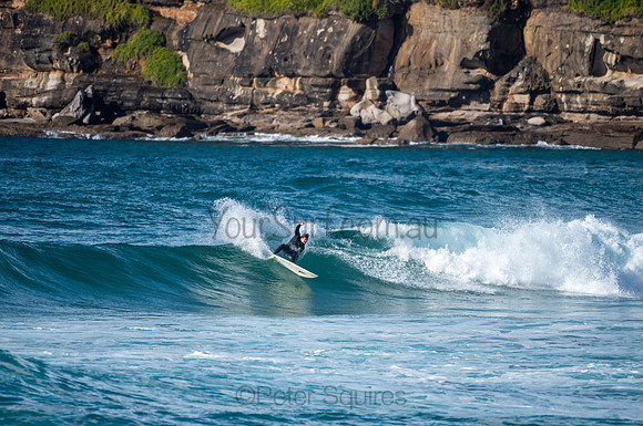 Whale_Beach-200809-08.35-357