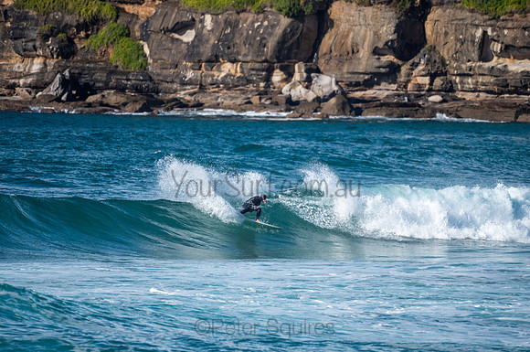 Whale_Beach-200809-08.35-510