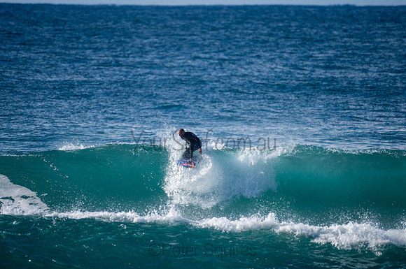 Whale_Beach-200809-08.36-289