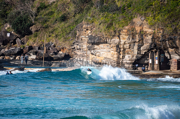 Whale_Beach-200809-08.40-368