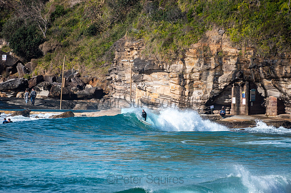 Whale_Beach-200809-08.40-111