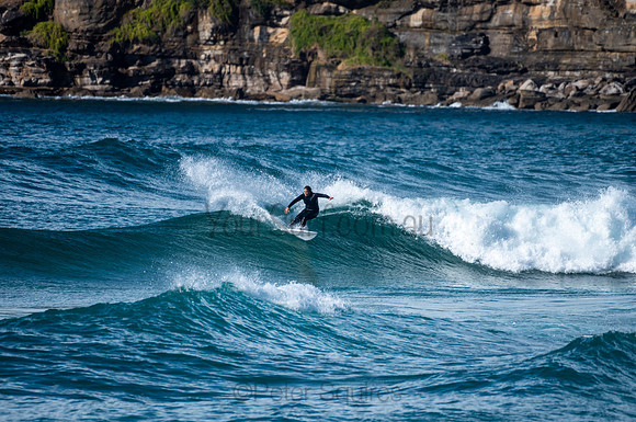 Whale_Beach-200809-08.42-124