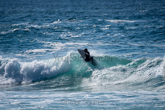 Whale_Beach-200809-08.42-723