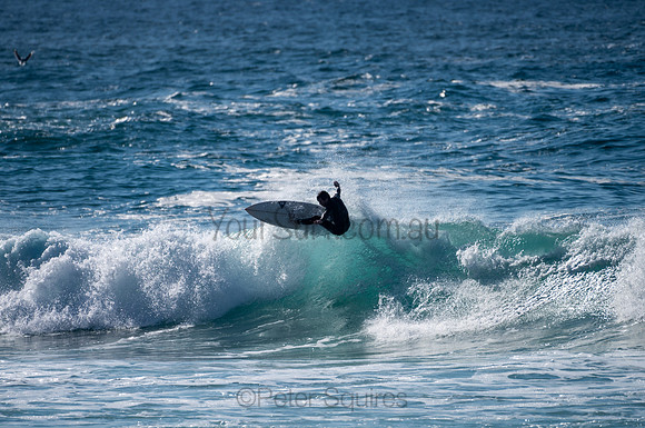 Whale_Beach-200809-08.42-625