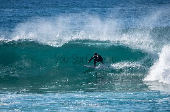Whale_Beach-200809-08.49-274