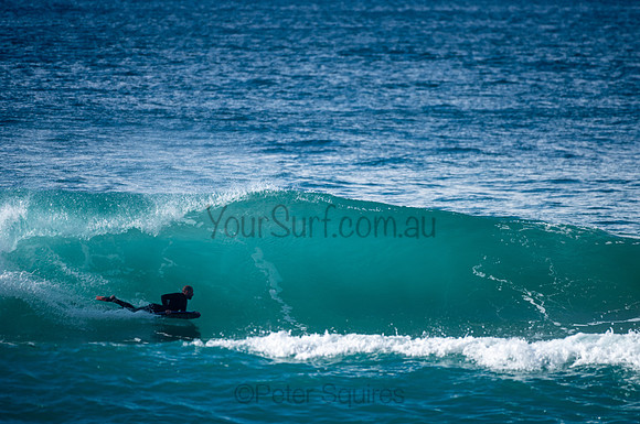 Whale_Beach-200809-08.54-062