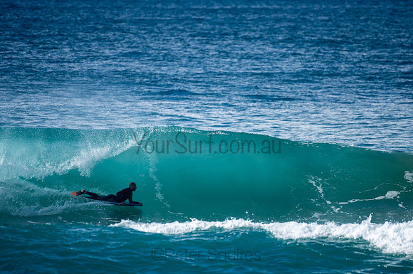 Whale_Beach-200809-08.54-516