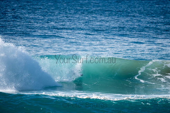 Whale_Beach-200809-08.54-810