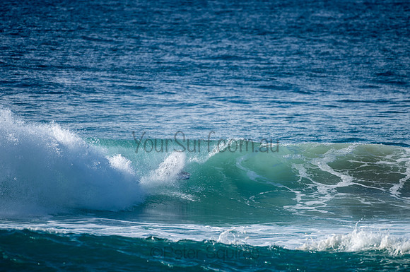 Whale_Beach-200809-08.54-795