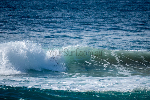 Whale_Beach-200809-08.54-912