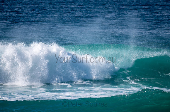 Whale_Beach-200809-08.57-852