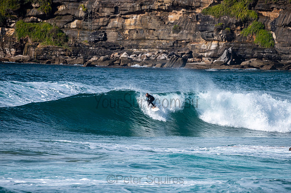 Whale_Beach-200809-09.00-821