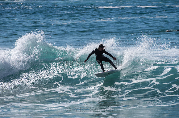 Whale_Beach-200809-09.29-1335