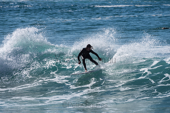 Whale_Beach-200809-09.29-1359