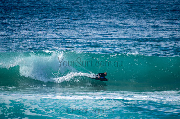 Whale_Beach-200809-09.30-1366