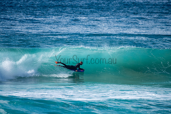 Whale_Beach-200809-09.30-1061