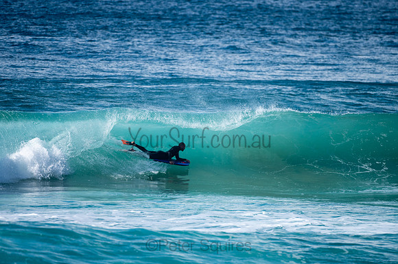 Whale_Beach-200809-09.30-1310