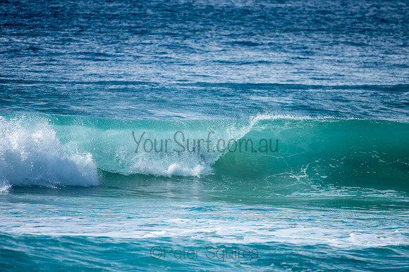 Whale_Beach-200809-09.30-1044