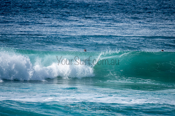 Whale_Beach-200809-09.30-1326