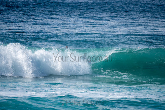 Whale_Beach-200809-09.30-1191