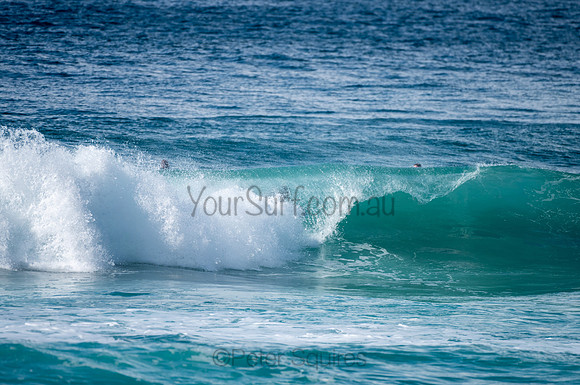 Whale_Beach-200809-09.30-1358
