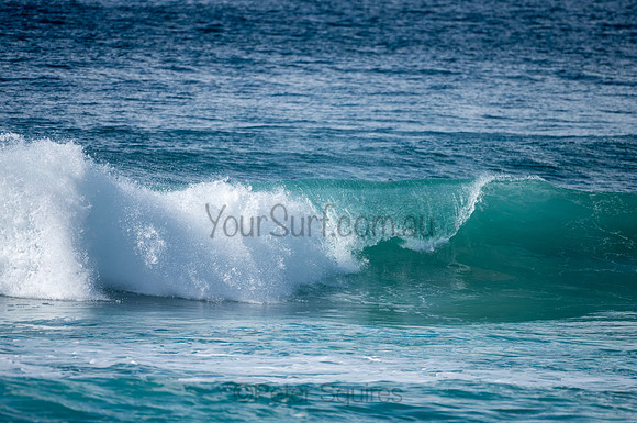Whale_Beach-200809-09.30-1239