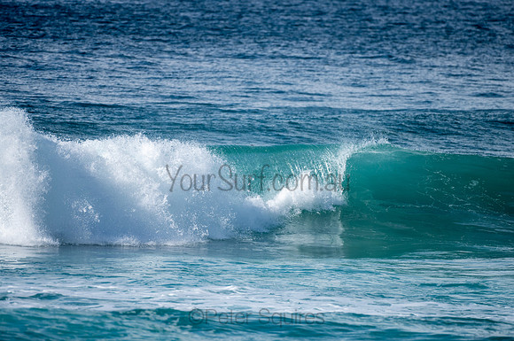 Whale_Beach-200809-09.30-1076