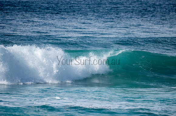 Whale_Beach-200809-09.30-1355