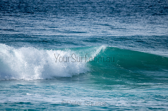 Whale_Beach-200809-09.30-1295