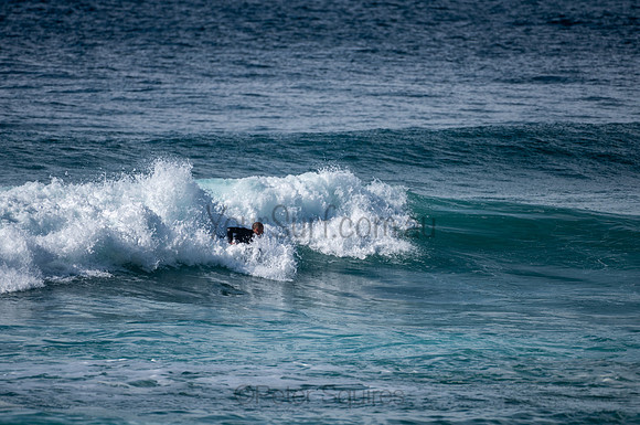 Whale_Beach-200809-09.30-1059
