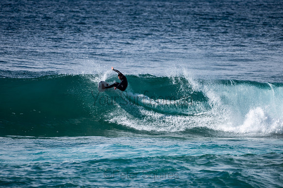 Whale_Beach-200809-09.31-1333