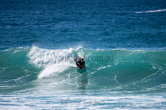 Whale_Beach-200809-09.38-1151