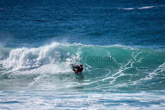 Whale_Beach-200809-09.38-1089