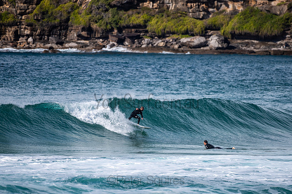 Whale_Beach-200809-09.41-1226