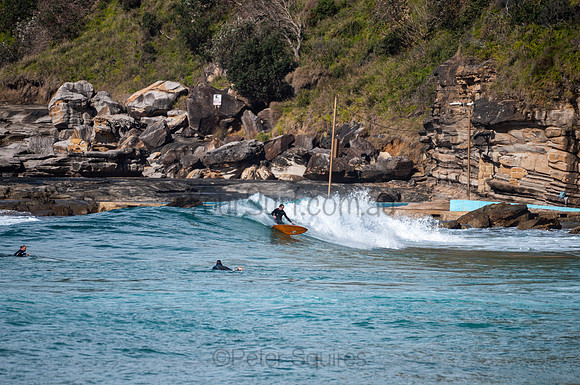 Whale_Beach-200809-09.44-1090