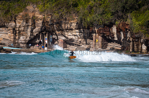 Whale_Beach-200809-09.44-1357