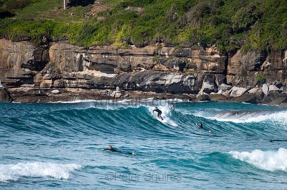 Whale_Beach-200809-09.44-1186