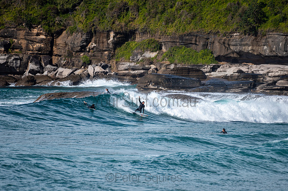 Whale_Beach-200809-09.44-1013