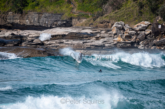Whale_Beach-200809-09.44-1170